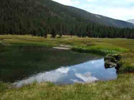 Lyell Canyon, South of Tuolumne Meadows